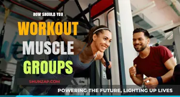 Effective Muscle Group Workouts: Strategies for Balanced Strength Training