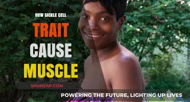 Sickle Cell Trait: Muscle Pain and Damage