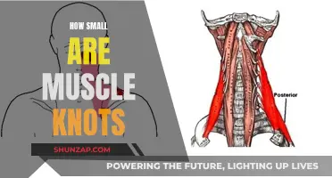 Unraveling Muscle Knots: Understanding Their Tiny, Mighty Impact