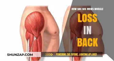 Understanding Muscle Loss in the Back: A Social Security Perspective
