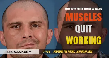 Facial Muscle Function Loss: Timing After Injury Explained