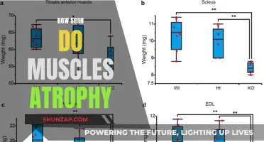 Muscle Atrophy: Understanding Rapid Loss and Prevention