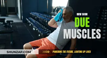 When Do Muscles Recover?