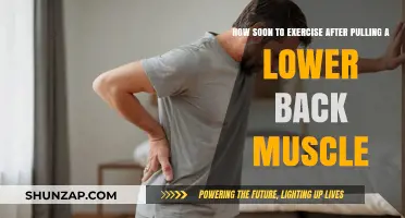 Recovering from a Pulled Lower Back Muscle: Safe Exercise Timeline