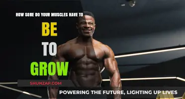 Muscle Soreness and Growth: Understanding the Pain for Optimal Gains