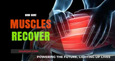Sore Muscles Recovery: Effective Strategies for Healing and Relief