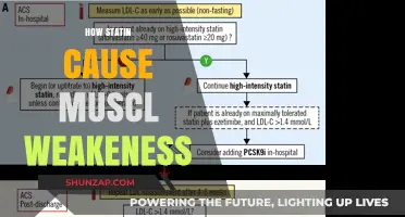 Statins' Muscle Weakness: Understanding the Mechanism