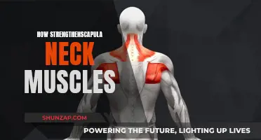 Strengthening Neck Muscles: Focus on Your Scapula