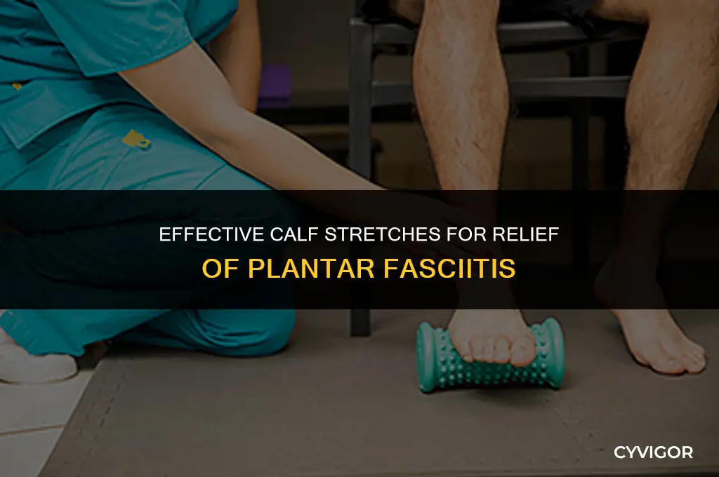 how stretch calf muscle for petonial