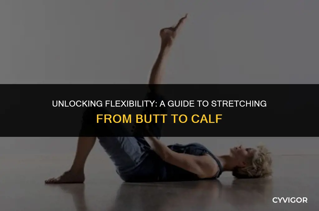 how stretch muscle from butt to calf