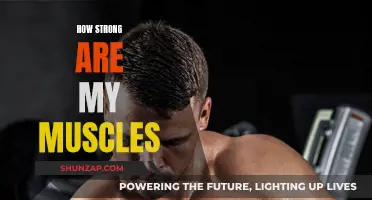 Unleashing Your Muscle Strength: How Powerful Are You?