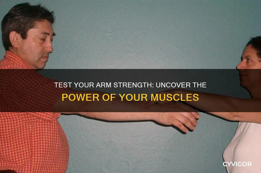 how strong are your arm muscles
