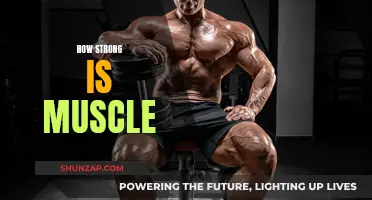 Muscle Strength: Powering Extraordinary Feats