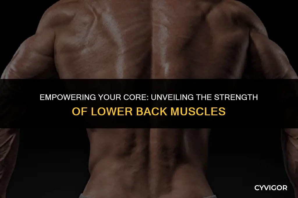 how strong is the lower back muscles