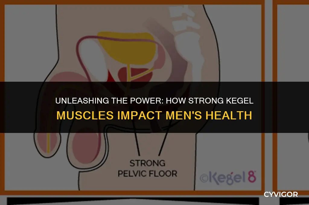 how strong kegal muscles affect men