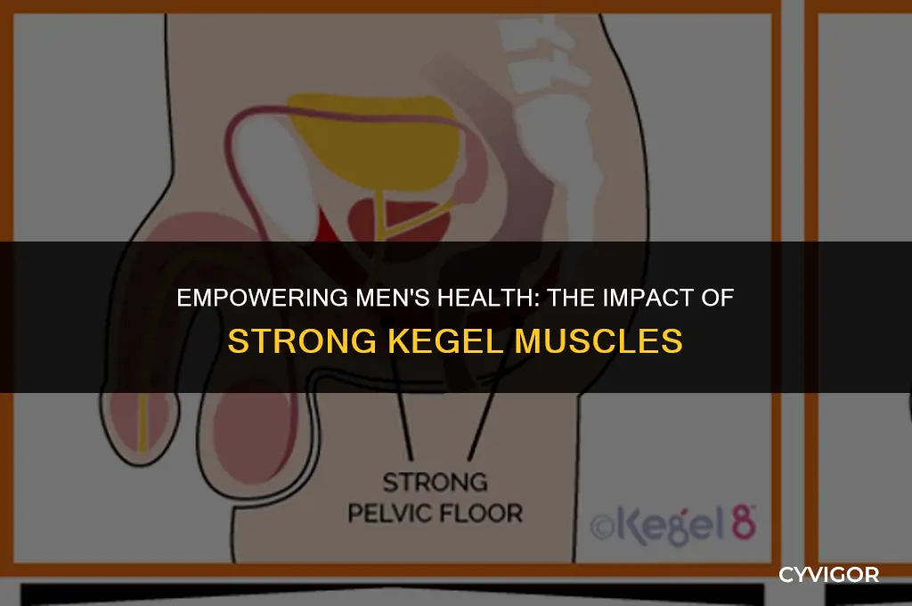 how strong kegel muscles affect men