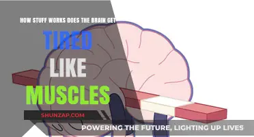Does the Brain Fatigue Like Muscles? Unraveling Mental Exhaustion
