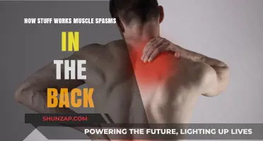Understanding Back Muscle Spasms: Causes, Relief, and Prevention Explained