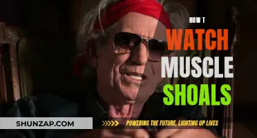Muscle Shoals: A Guide to Watching the Documentary