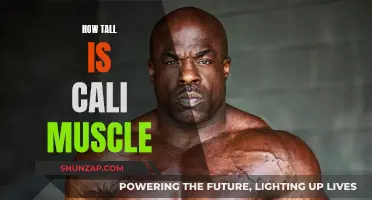 Cali Muscle: How Tall Are These Fitness Models?