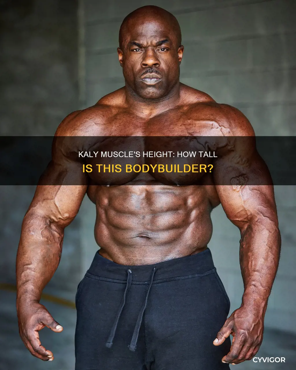 how tall is kaly muscle