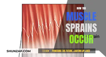 Understanding Muscle Sprains: Causes and Prevention