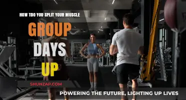 Effective Muscle Group Splits: Optimize Your Workout Routine for Results