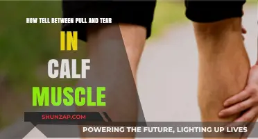 Calf Muscle Injury: Identifying Pulls vs. Tears and Recovery Tips