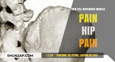 Muscle Pain vs. Hip Pain: Key Differences and How to Tell