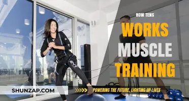 How TENS Technology Enhances Muscle Training and Recovery