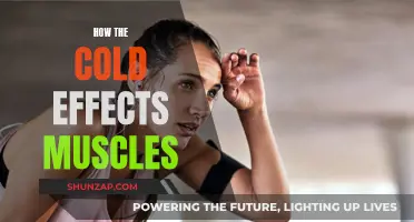 Cold Weather and Muscle Performance: What's the Link?