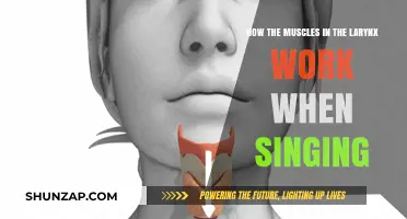 Understanding Larynx Muscles: The Science Behind Singing Mechanics