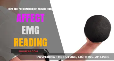 Exploring the Impact of Muscle Tone on EMG Readings