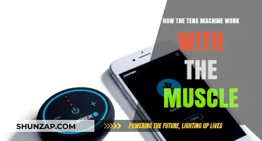 Understanding TENS Machines: How They Stimulate and Relieve Muscle Pain