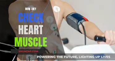 Exploring Heart Muscle Health: Advanced Diagnostic Techniques