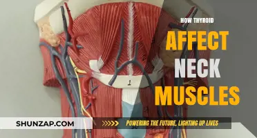 Thyroid Impact on Neck Muscles: Understanding the Connection