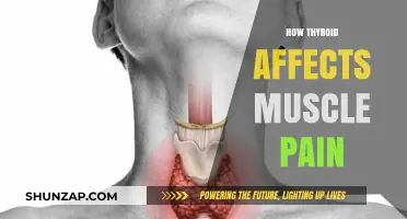 Thyroid and Muscle Pain: Understanding the Hidden Connection