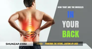 Unraveling the Tension: A Deep Dive into Back Muscle Tightness
