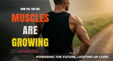 Visible Muscle Growth: Signs, Progress Tracking, and Effective Strategies