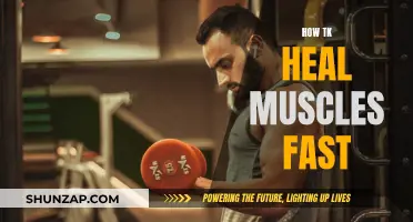 Healing Muscles: Rapid Recovery Techniques for Quick Results