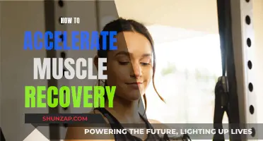 Accelerating Muscle Recovery: Techniques for Faster Results