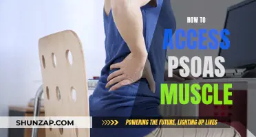 Unlocking the Psoas Muscle: Techniques for Access and Release