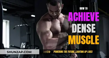 Building Dense Muscle: Secrets to a Powerful Physique
