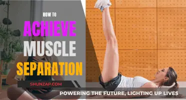 Building Muscle Separation: Strategies for Chiseled Definition