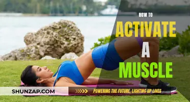 Activating Muscles: Techniques for Optimum Muscle Activation