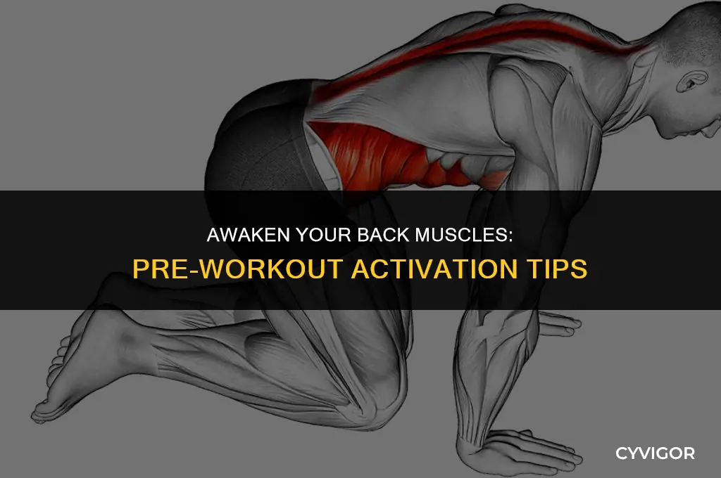 how to activate back muscles before workout