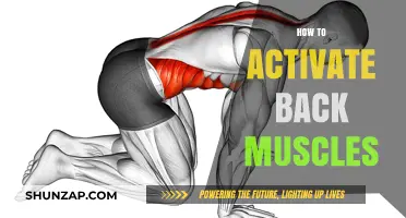 Awaken Your Back: A Guide to Activating and Strengthening Your Back Muscles