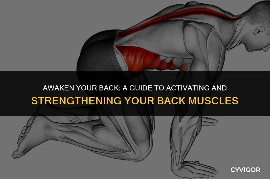 how to activate back muscles