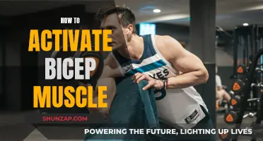 Activating Bicep Muscles: The Ultimate Guide to Bicep Activation