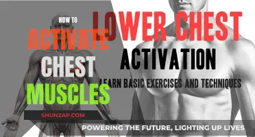 Activating Chest Muscles: Techniques for a Powerful Upper Body
